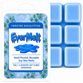 Frosted Eucalyptus Soy Wax Melt