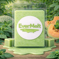 Mint & Melon Soy Wax Melt